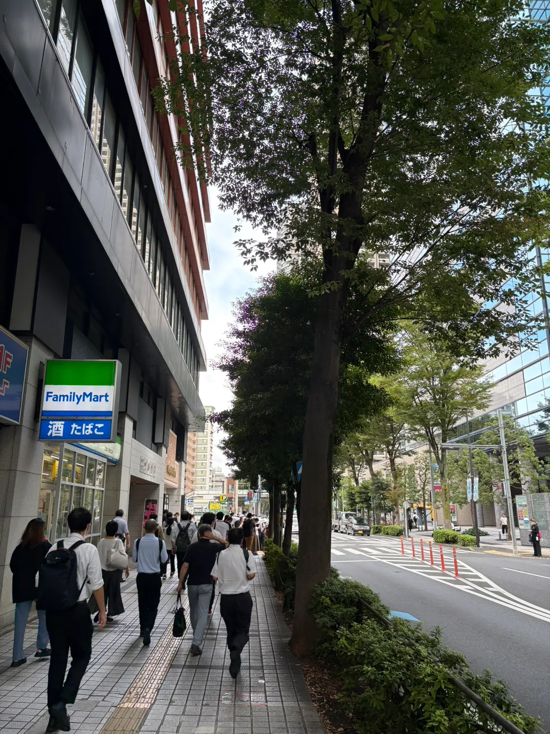 ファミリーマートの前の、並木のある歩道